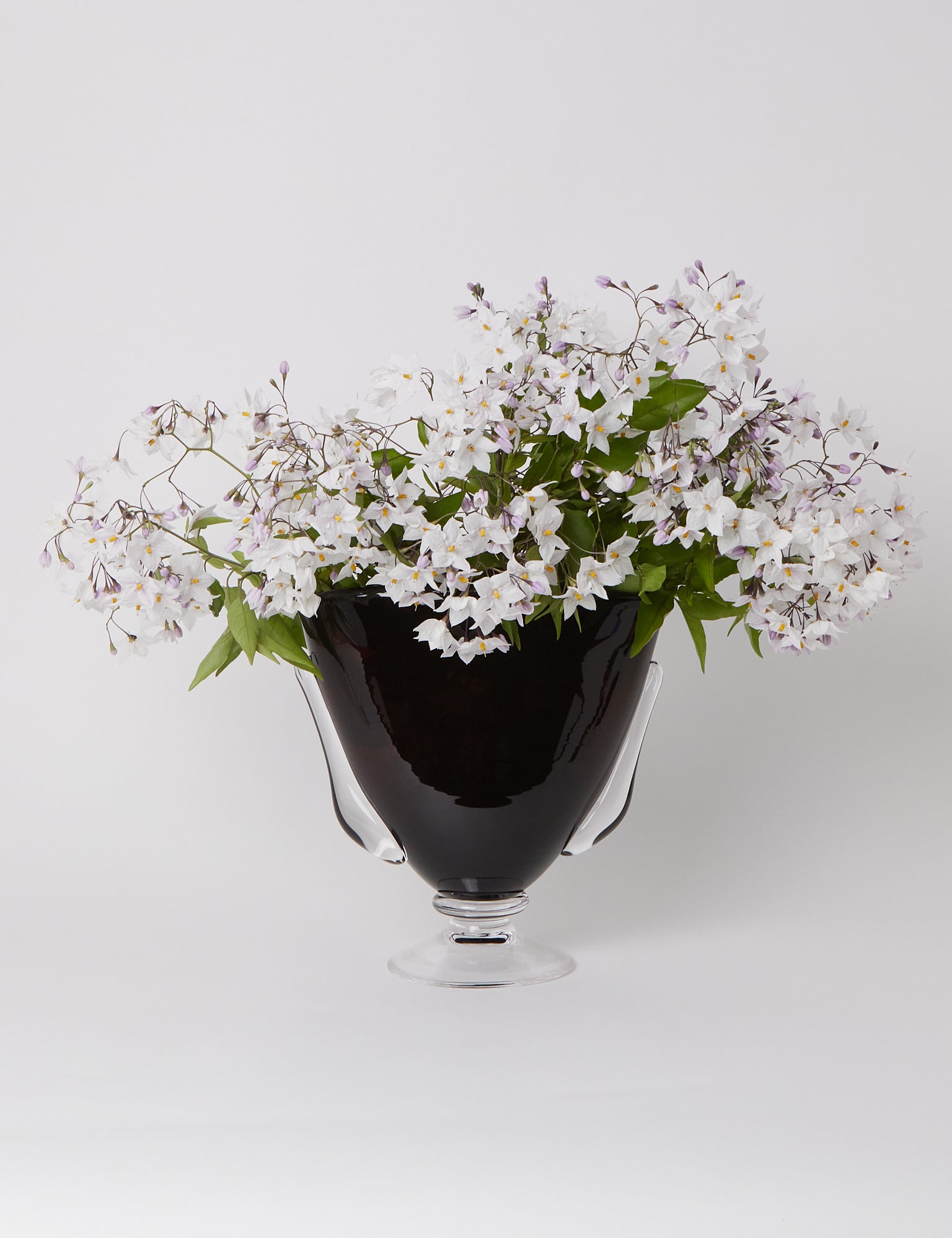 Akua Objects Karl Vase, curated by Shop Sommer in San Francisco