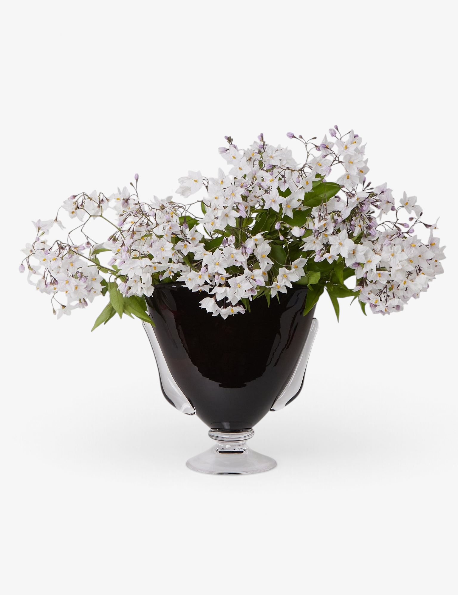 Akua Objects Karl Vase, curated by Shop Sommer in San Francisco