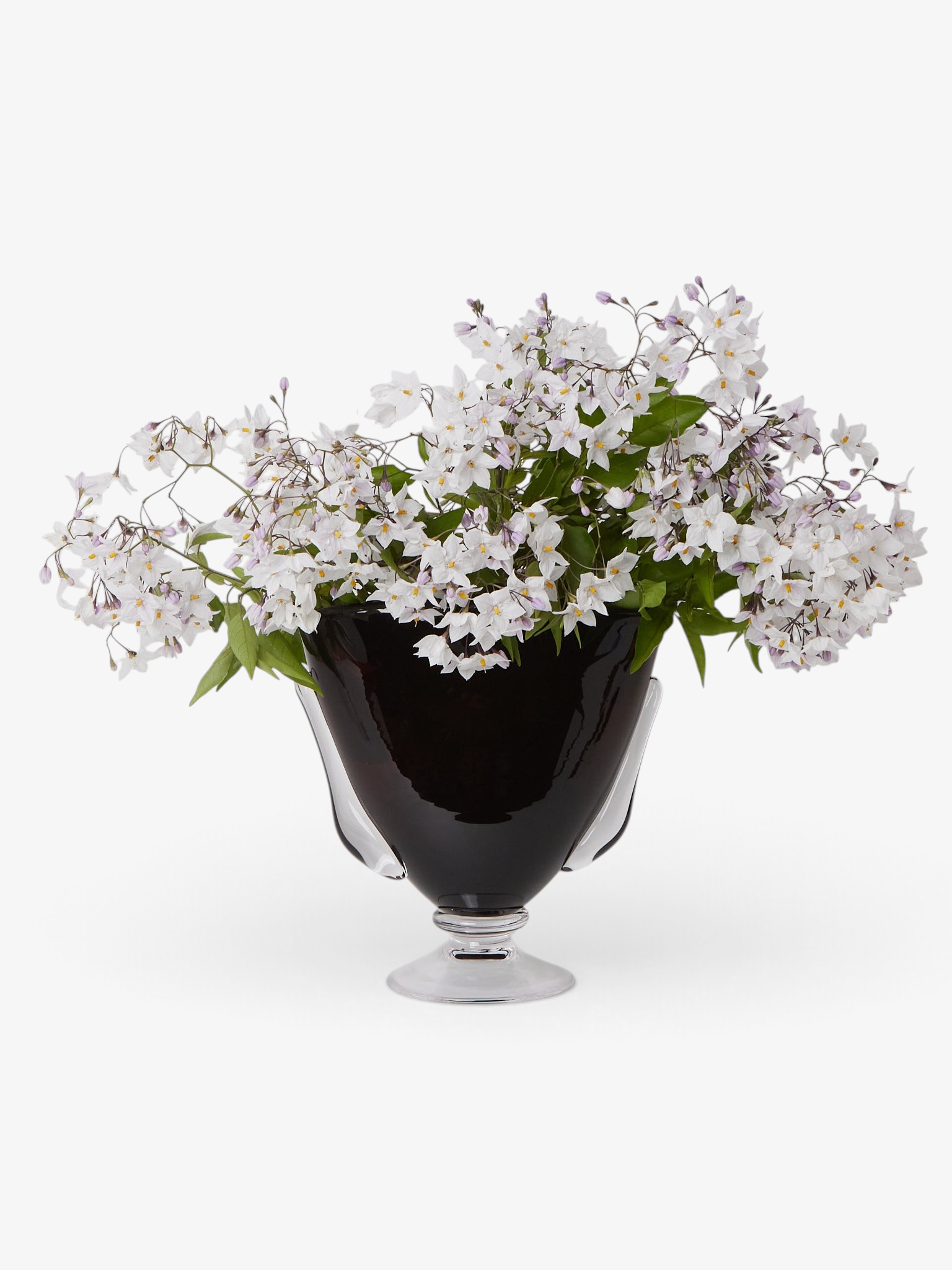 Akua Objects Karl Vase, curated by Shop Sommer in San Francisco