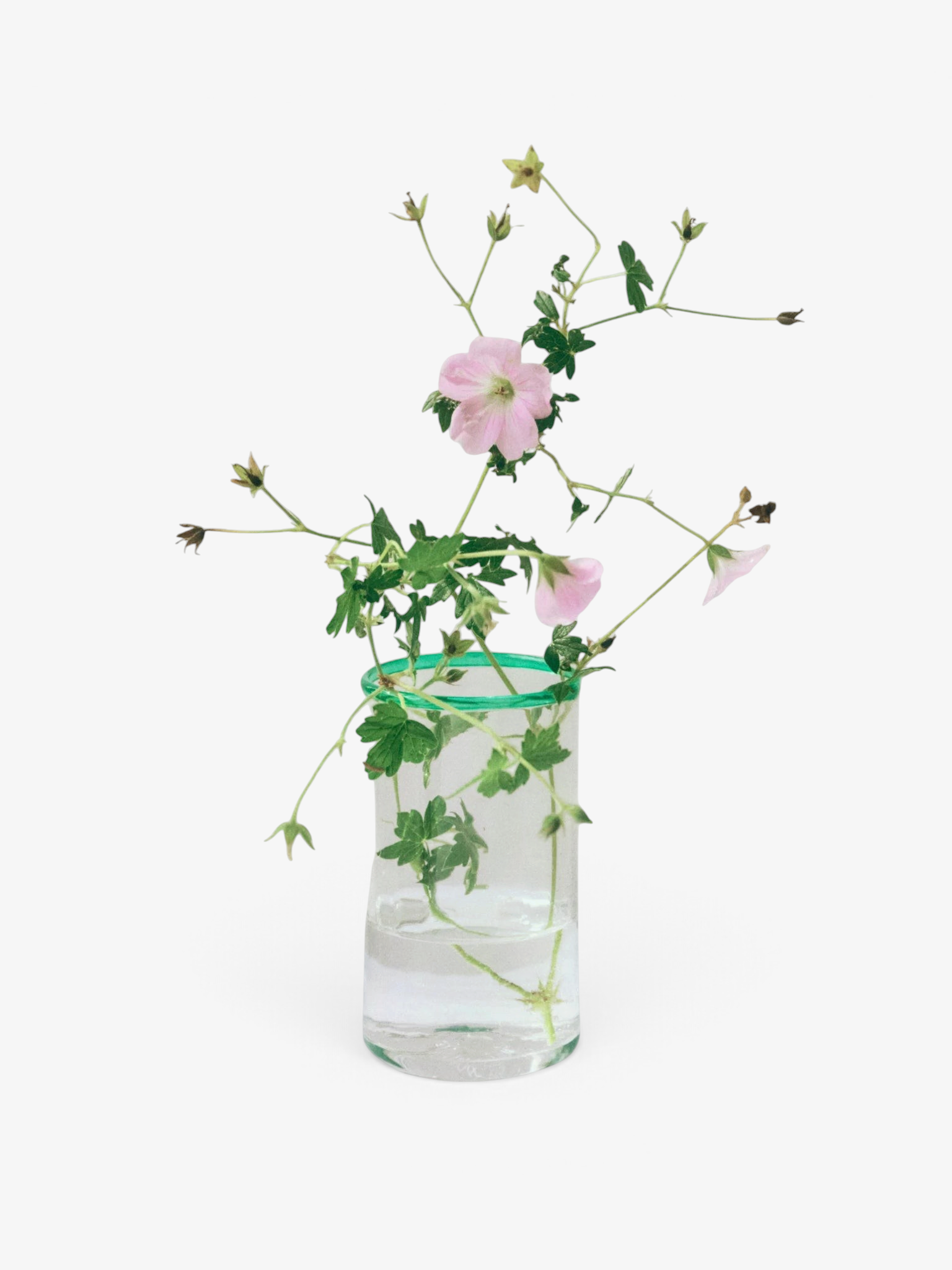 Akua Objects Peter Glass in Jade, curated by Shop Sommer in San Francisco