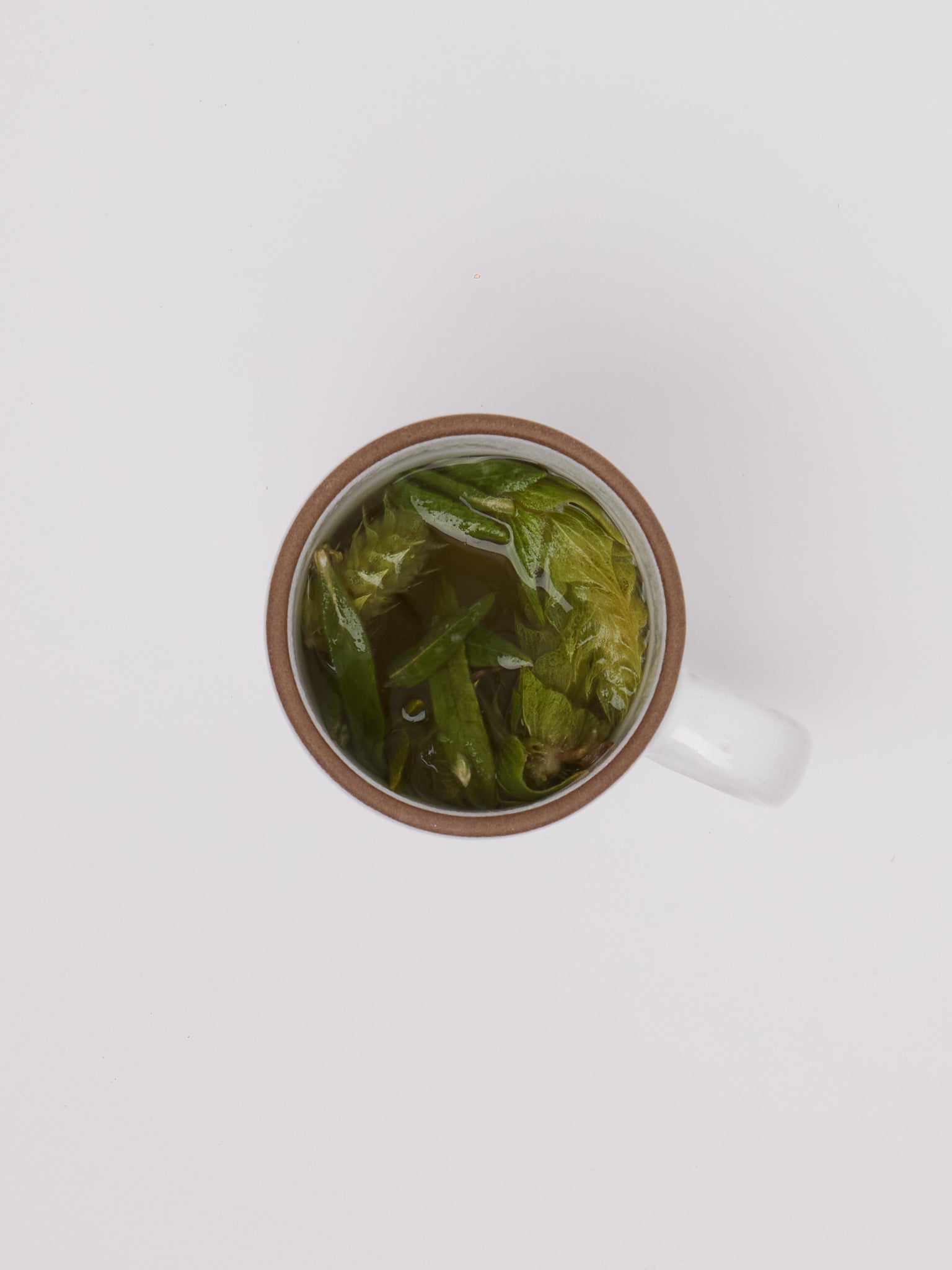 Greek Mountain Tea Bouquet by Daphnis and Chloe, curated by Shop Sommer in San Francisco.