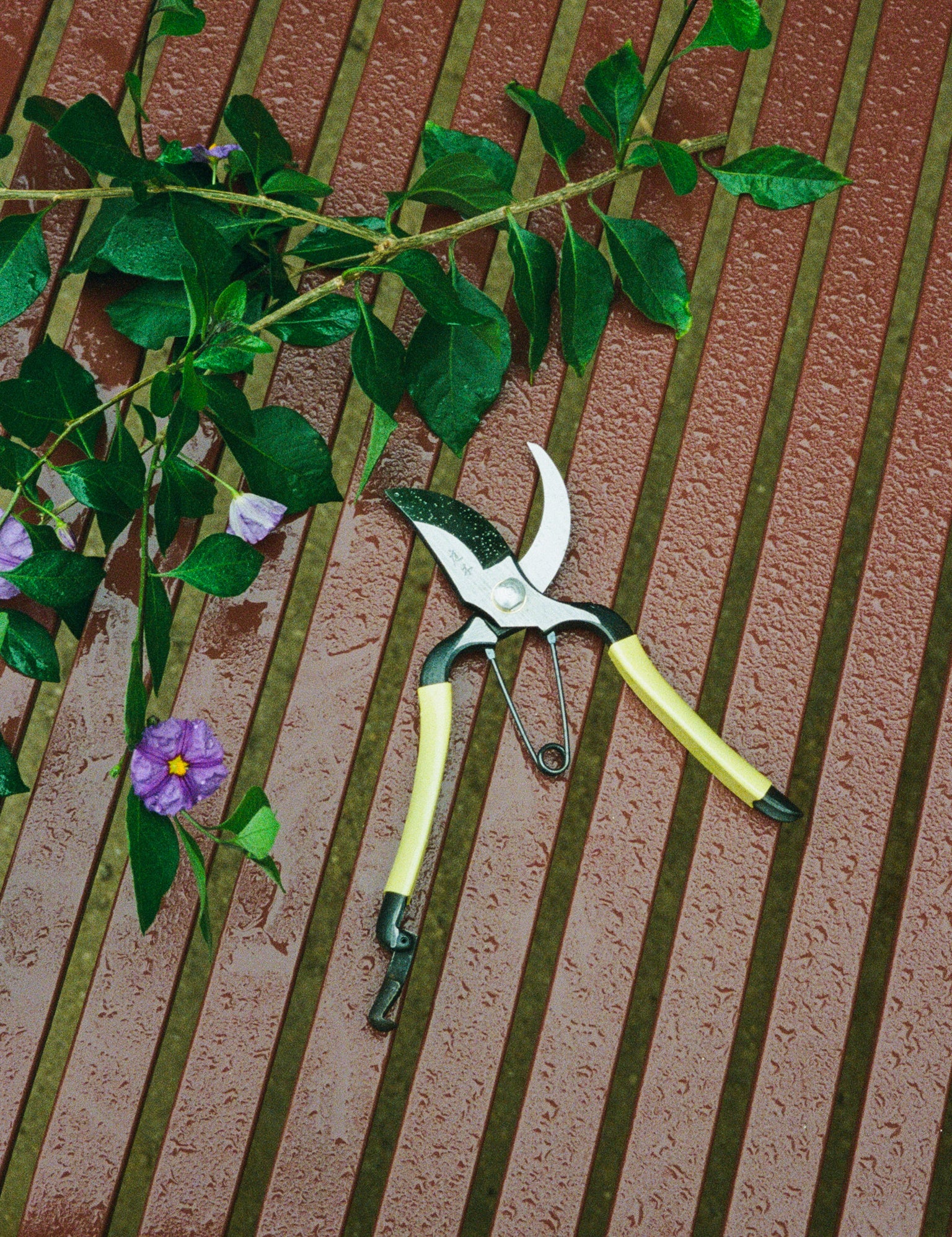 Niwaki Higurashi GR Secateurs at Shop Sommer
