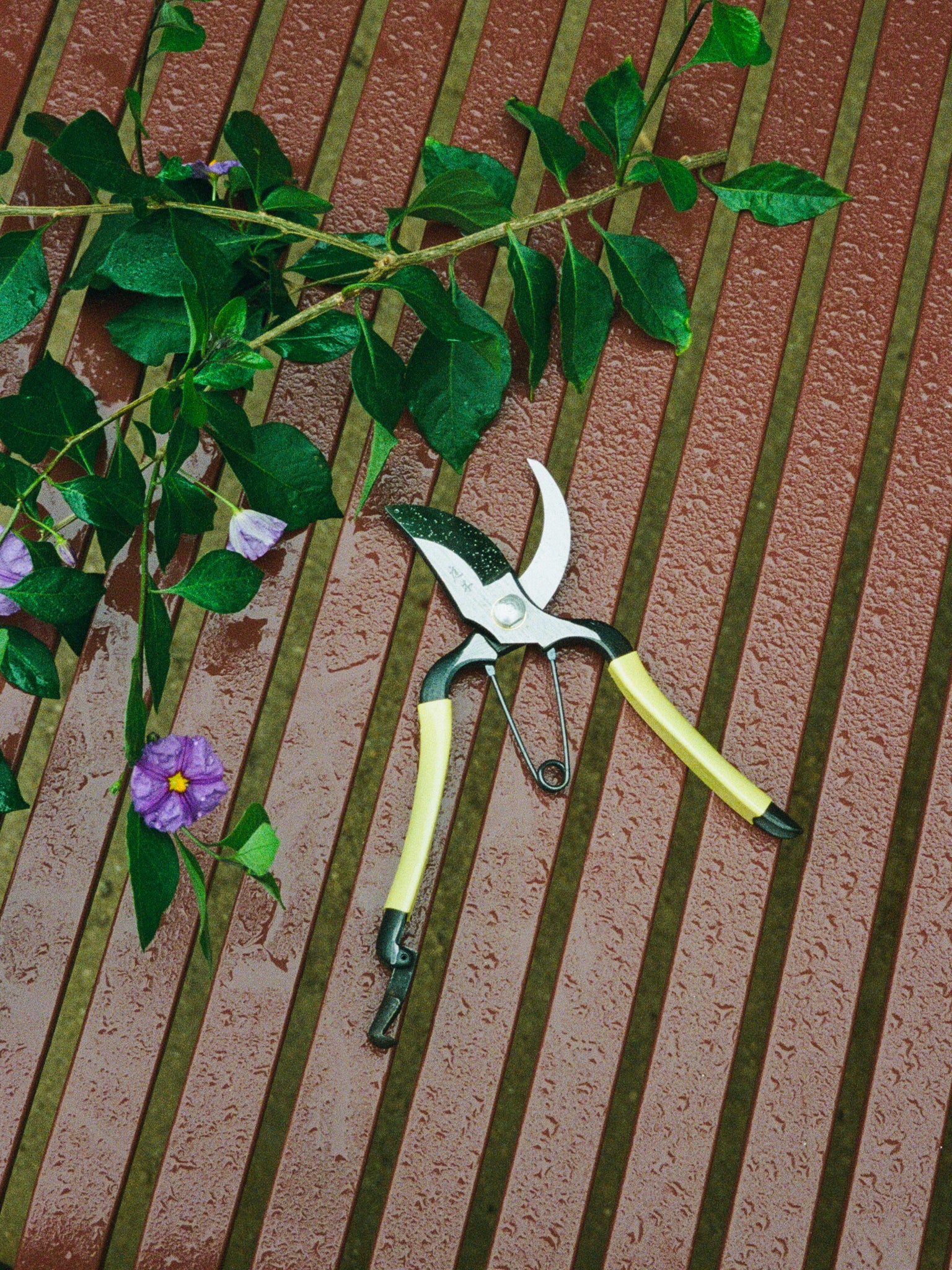 Niwaki Higurashi GR Secateurs at Shop Sommer