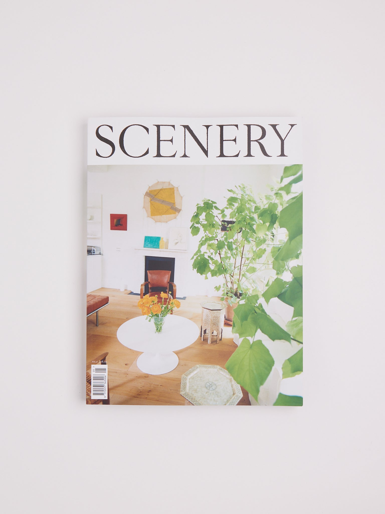 Scenery Magazine Number Five