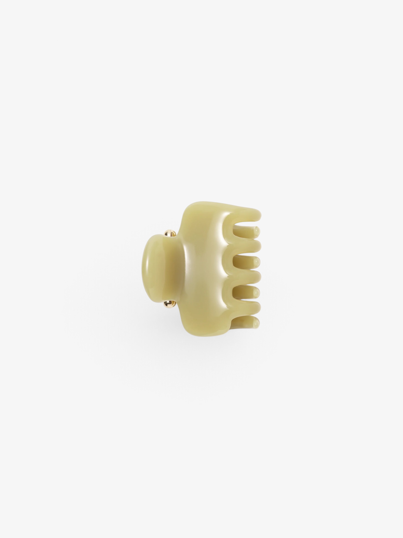 Avocado No. 2 Claw Clip