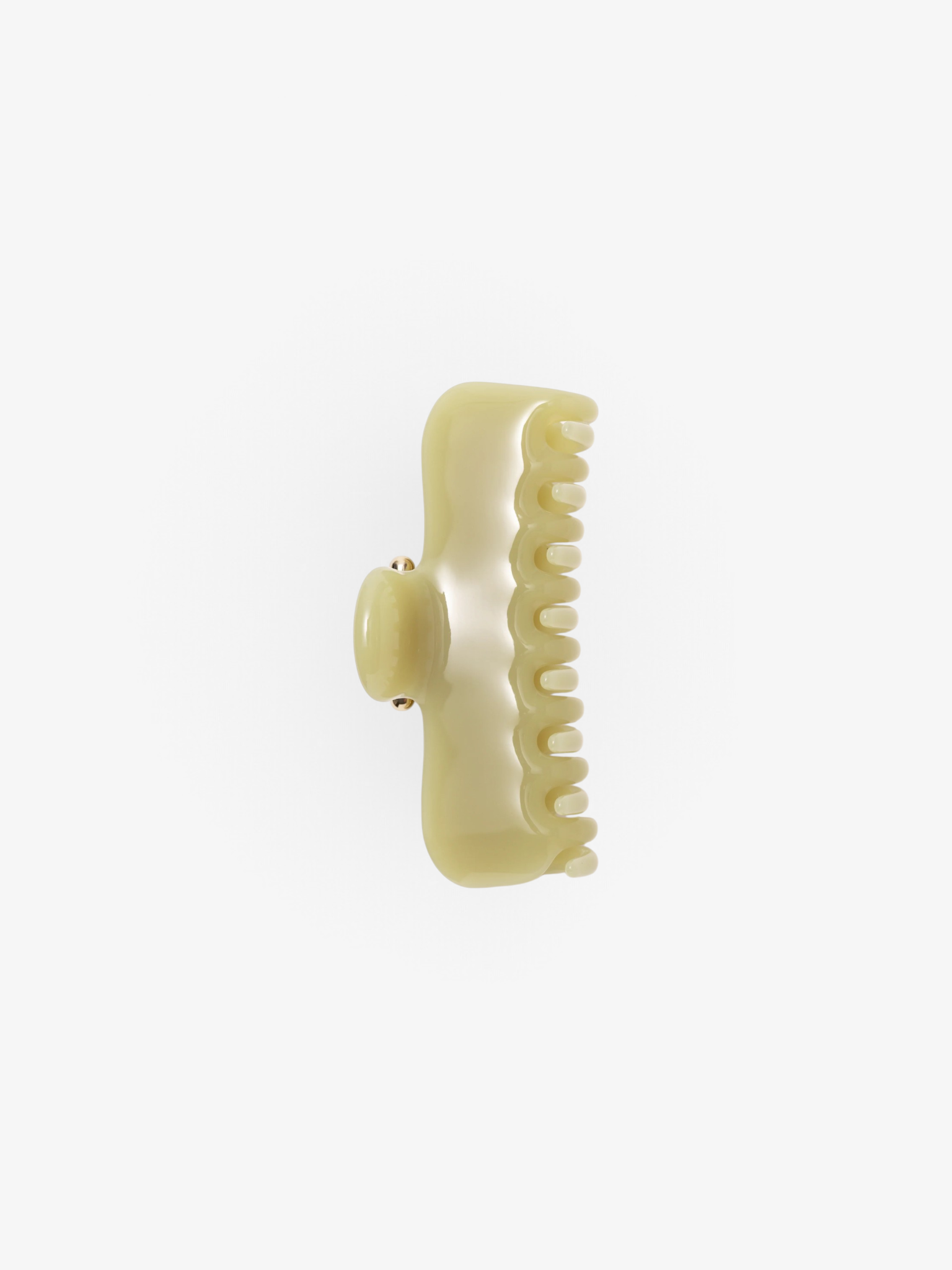 Avocado No. 4 Claw Clip