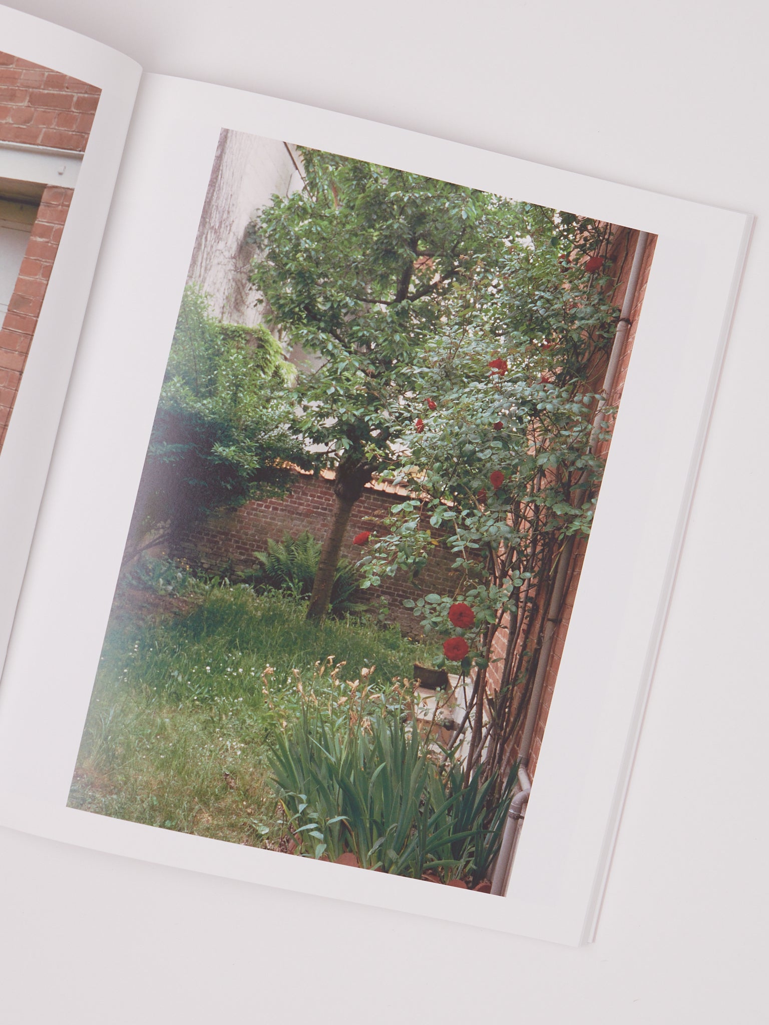 Apartamento Tante Simone Shop Sommer San Francisco