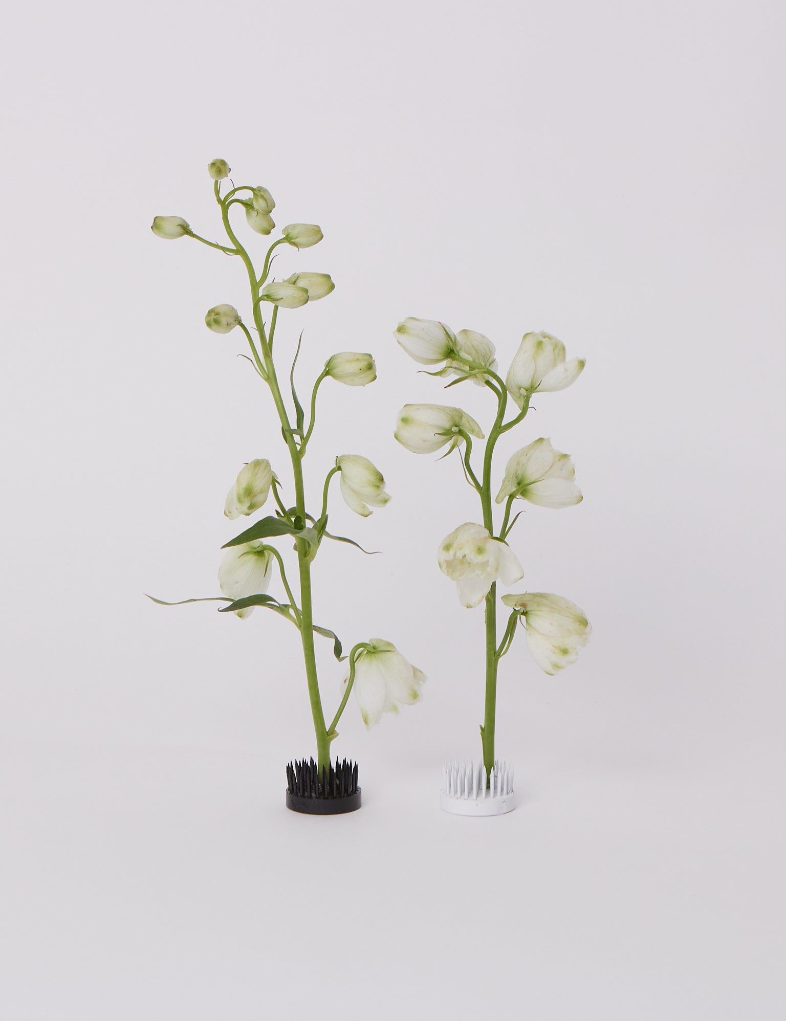 Niwaki Black and White Kenzan Set at Shop Sommer