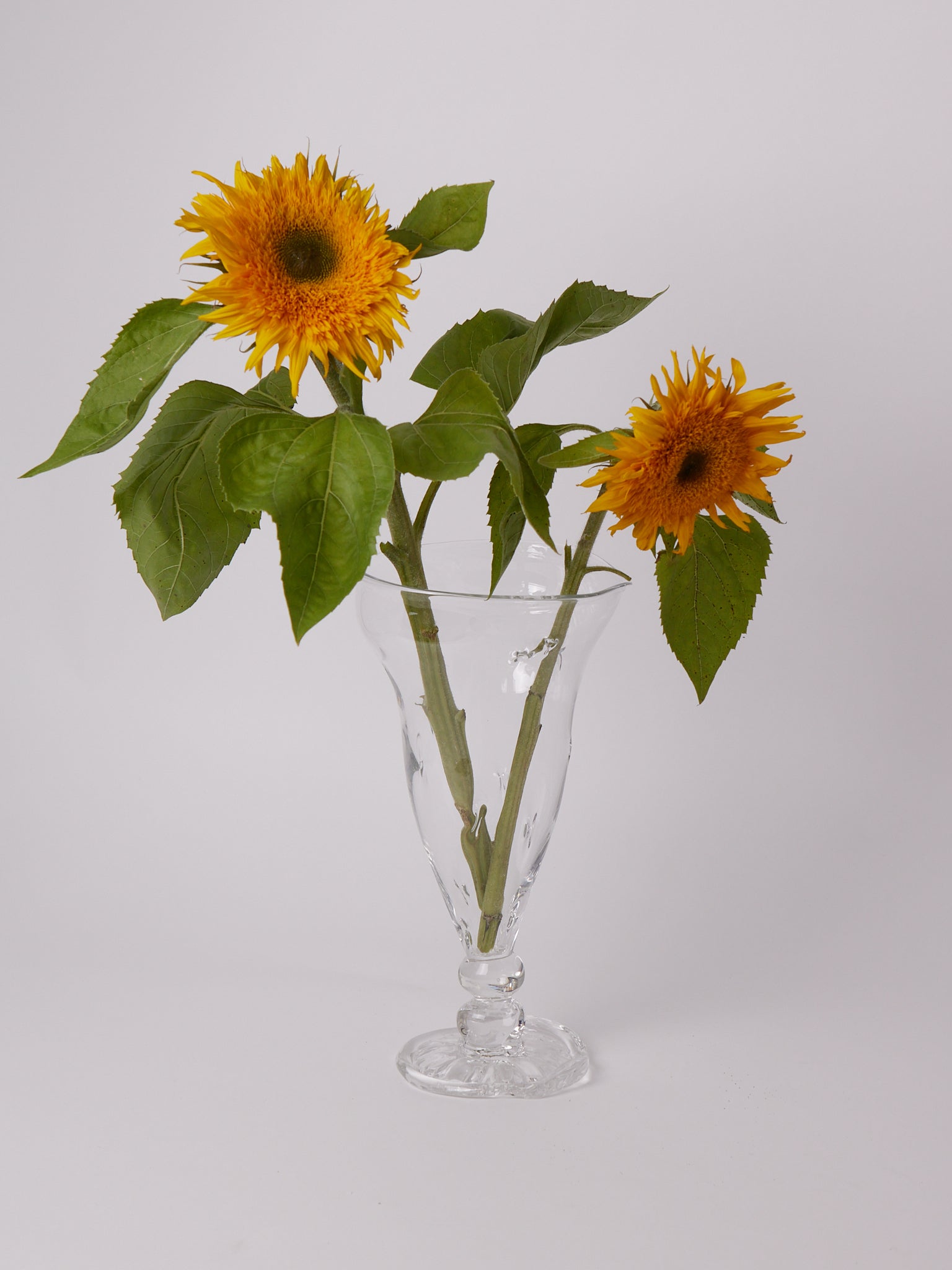 Silje Lindrup Sofie's Vase, curated by Shop Sommer in San Francisco.