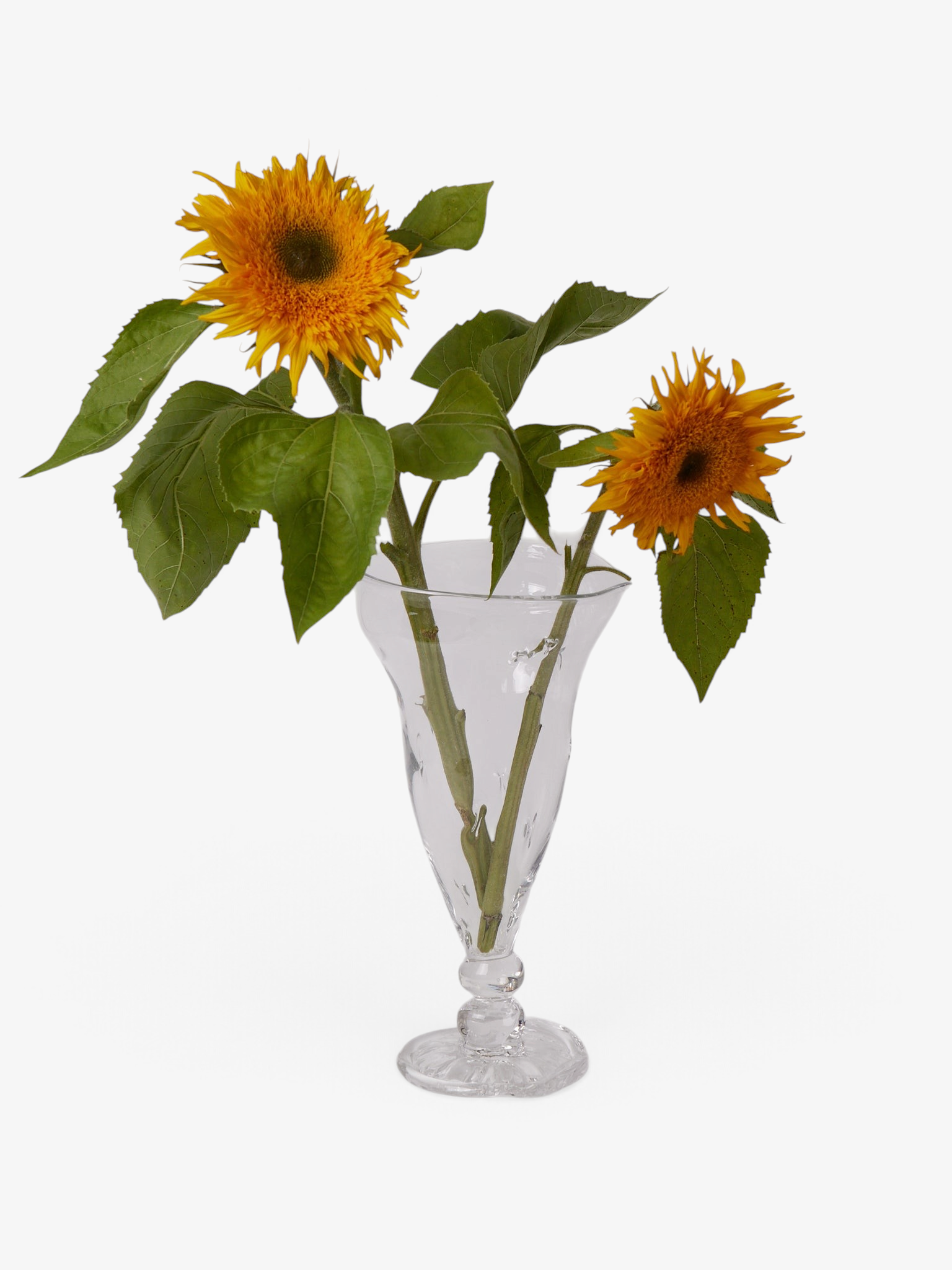 Silje Lindrup Sofie's Vase, curated by Shop Sommer in San Francisco.