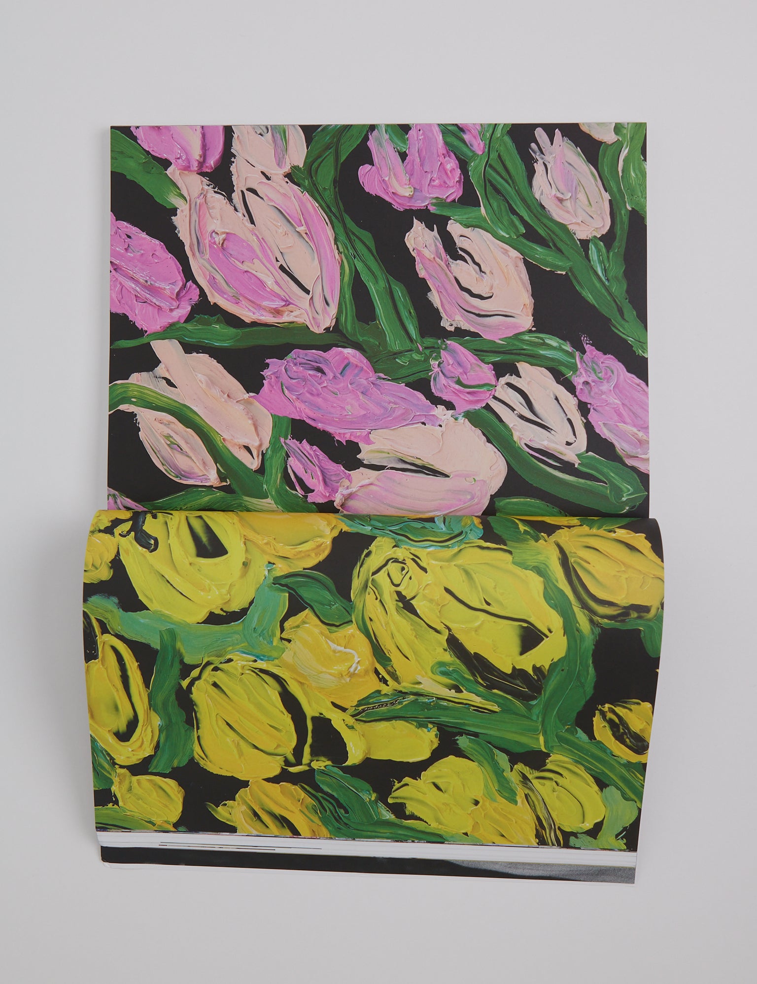 The Plant Magazine No. 23