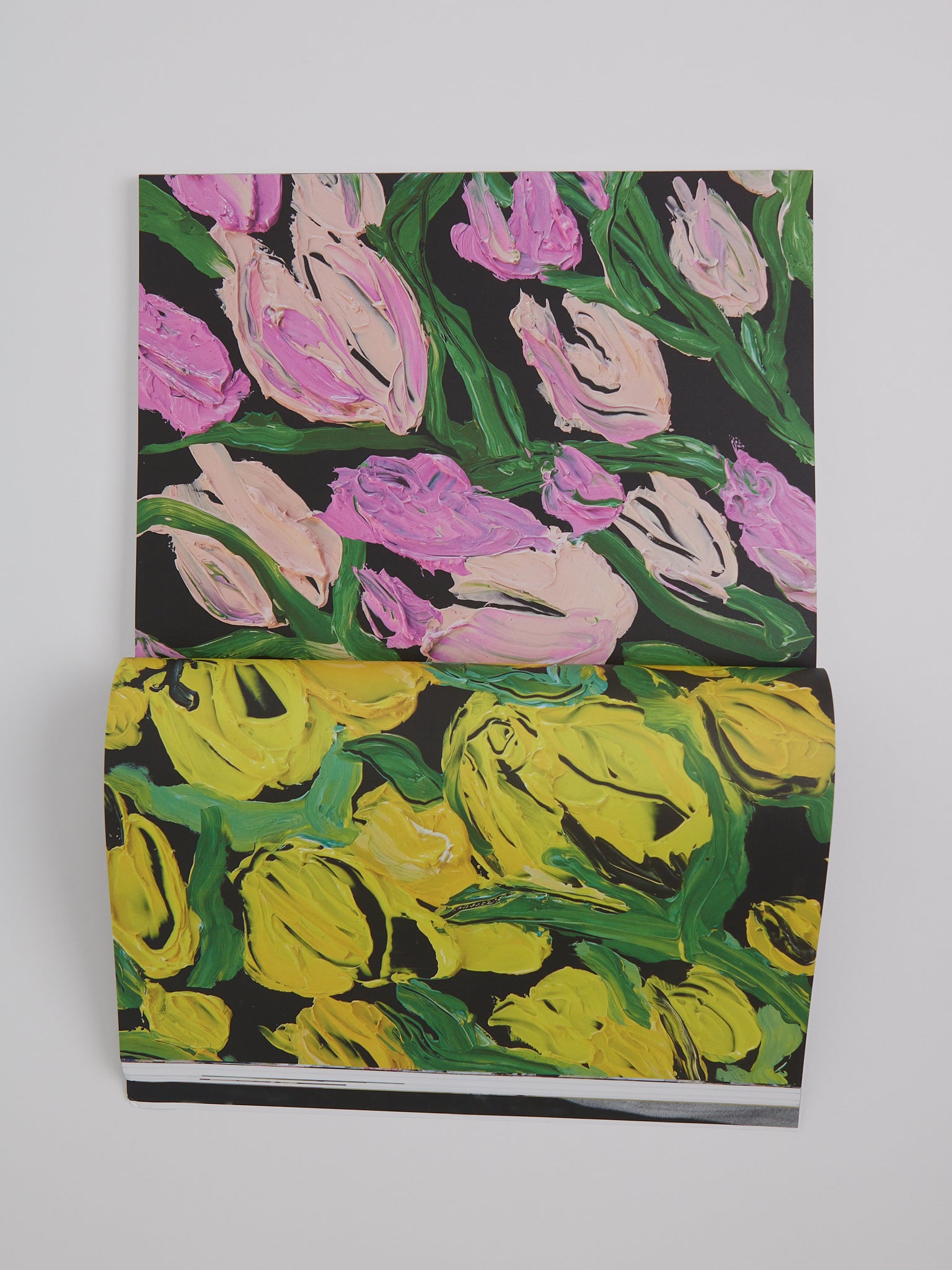 The Plant Magazine No. 23