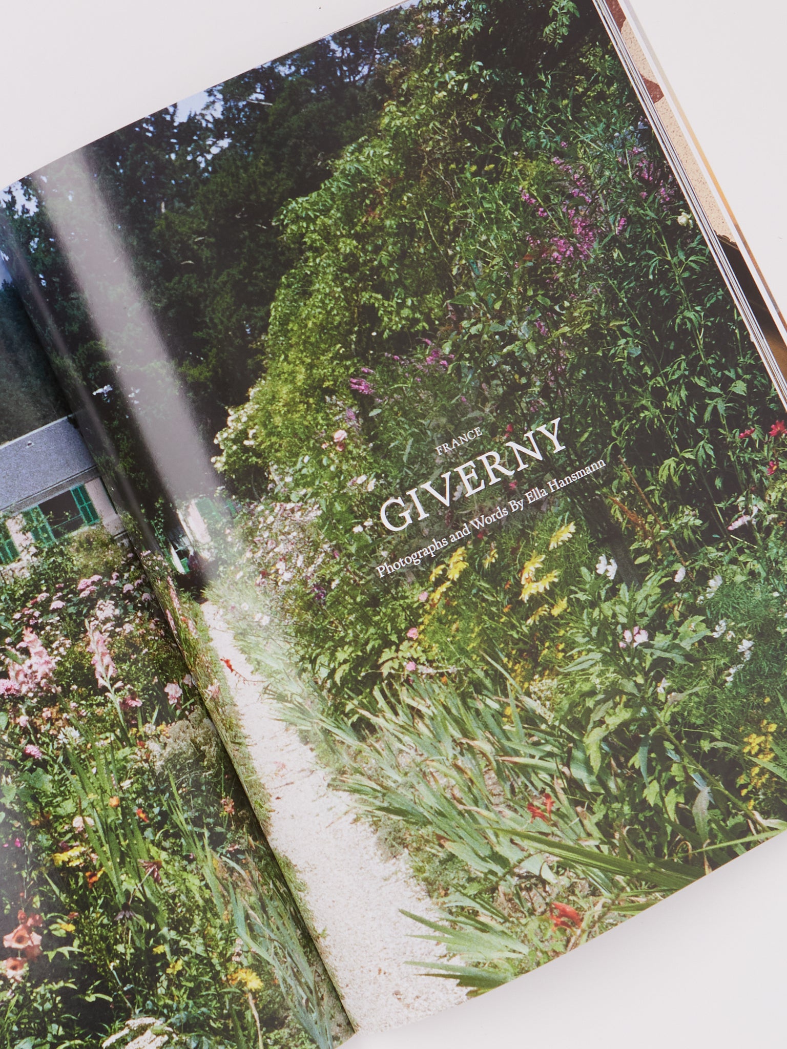 YOLO Journal Issue No. 21